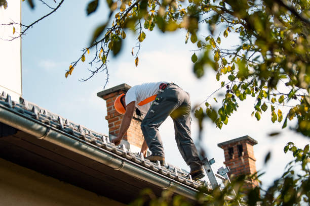 Best Storm Damage Roof Repair  in Minooka, IL